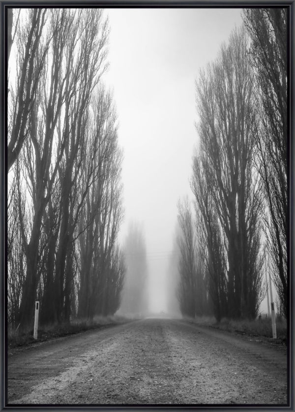 foggy micalago road 1 - b&w