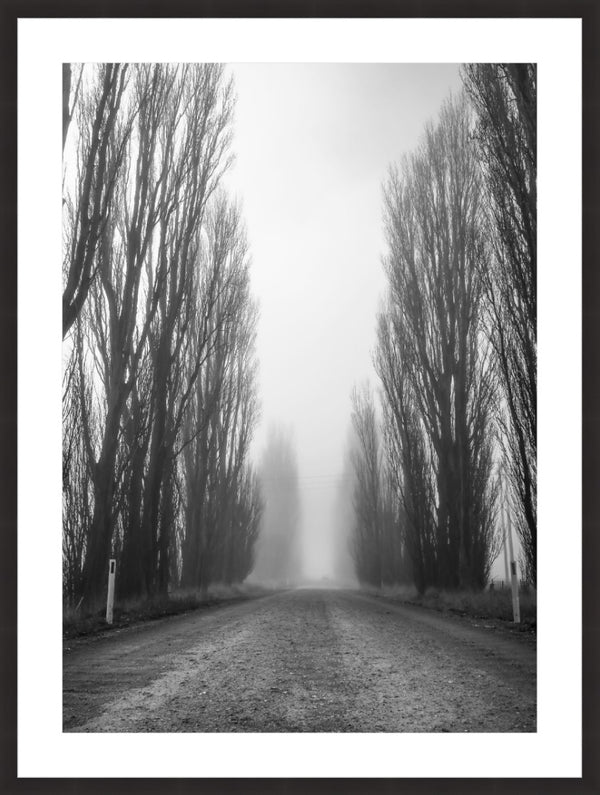 foggy micalago road 1 - b&w
