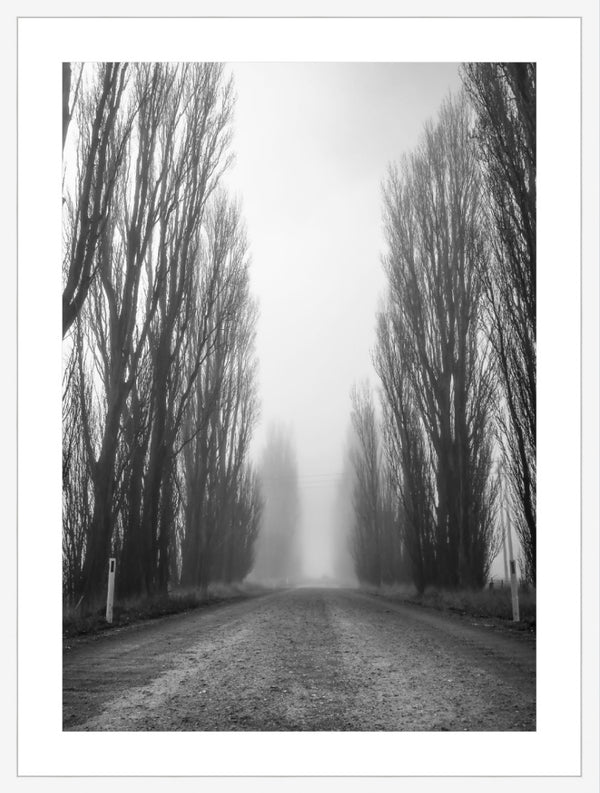 foggy micalago road 1 - b&w