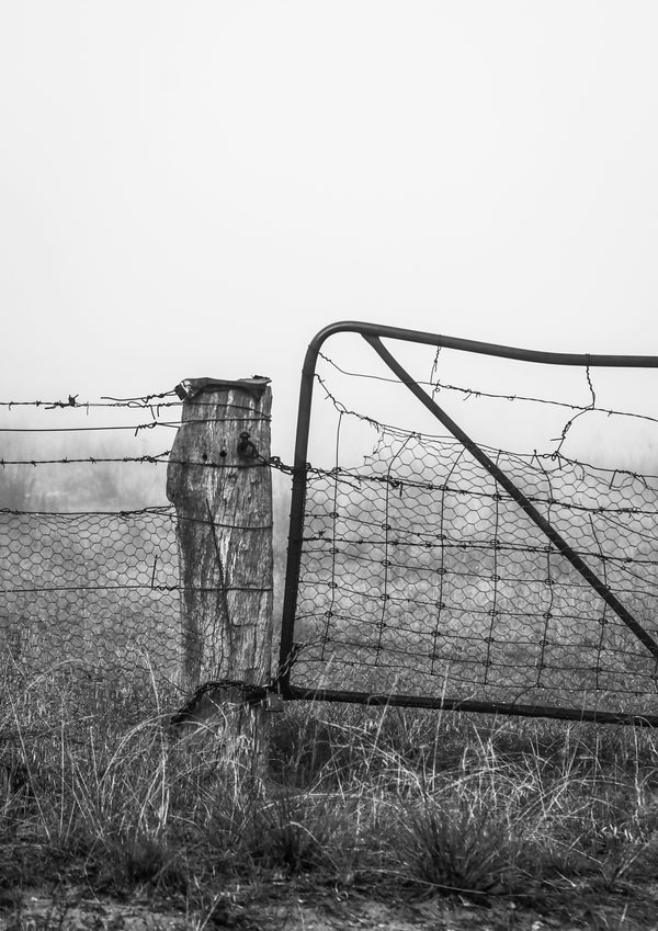 micalago road gate 1 - b&w - 2019