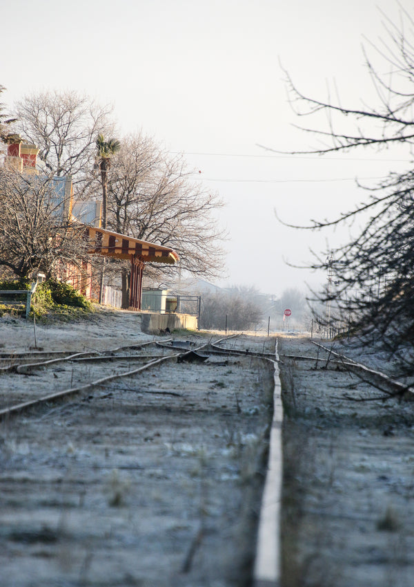 michelago station 4 - 2023